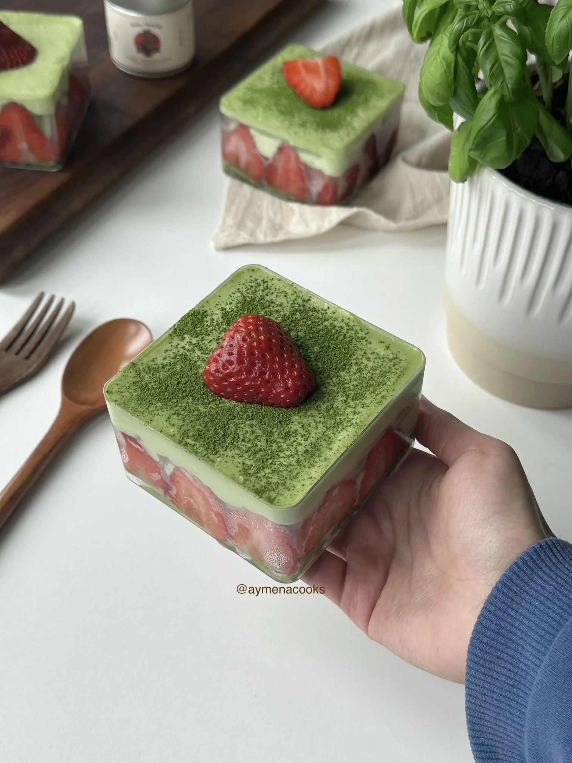 matcha tiramisu